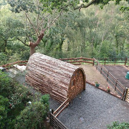 Owl Hut Cosy Ensuite Pod Snowdonia Coast Sleeps 2 Dolgellau Exterior photo