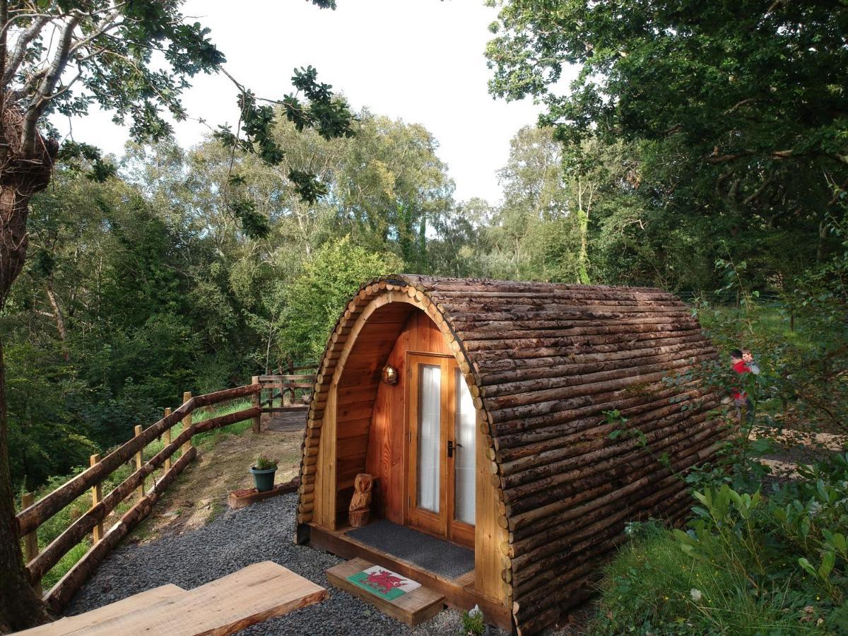 Owl Hut Cosy Ensuite Pod Snowdonia Coast Sleeps 2 Dolgellau Exterior photo