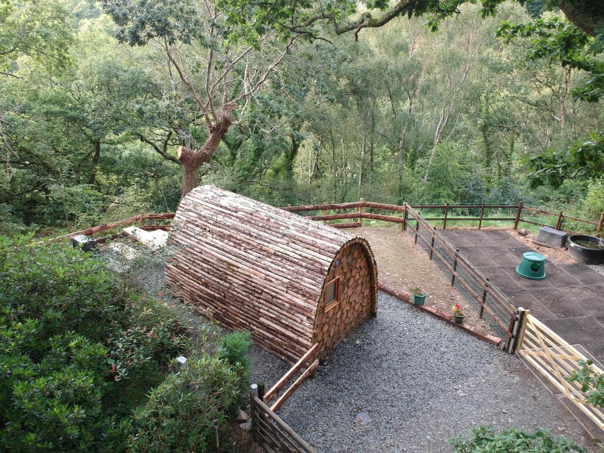 Owl Hut Cosy Ensuite Pod Snowdonia Coast Sleeps 2 Dolgellau Exterior photo